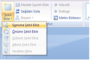 Office 2007 Smart Art