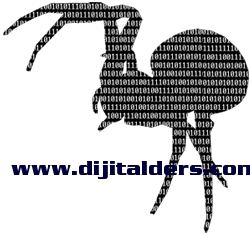 www.dijitalders.com