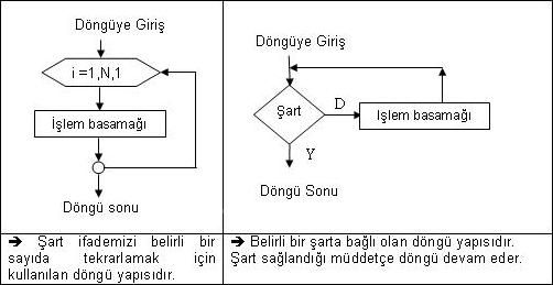 While Döngüsü