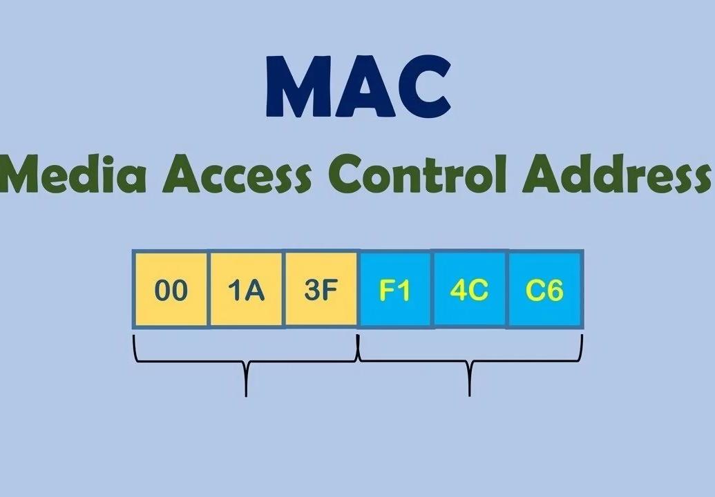 Ethernet Kartı Nedir? Kablo ve Hız standartları Nelerdir? MAC Adresi Ne Demektir?