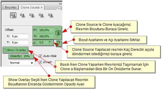 Clone Source Son Hali