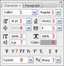 Character Paneli