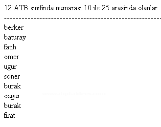 SQL komutları