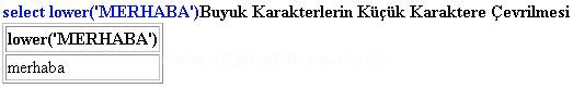 Başlıksız İçerik______________________