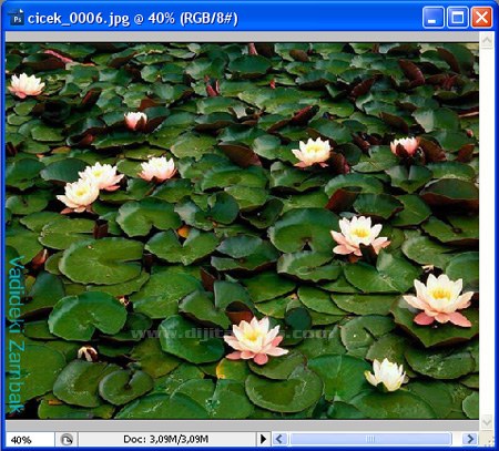 Contact Sheets, Picture Package, Conditional Mode Change, Fit Image, Merge To Hdr, Photomerge