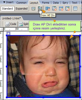 Set Nav Bar Image, Set Text, ShowHide Image, Swap Image, Swap Image Restore