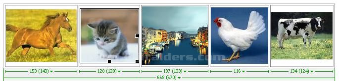 Set Nav Bar Image, Set Text, Show Hide Image, Swap Image, Swap Image Restore
