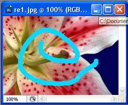 Open As Smart Object, Revert, Place