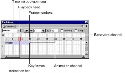 Time Line