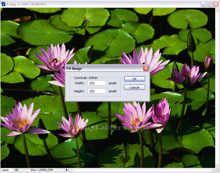 Contact Sheets, Picture Package, Conditional Mode Change, Fit Image, Merge To Hdr, Photomerge