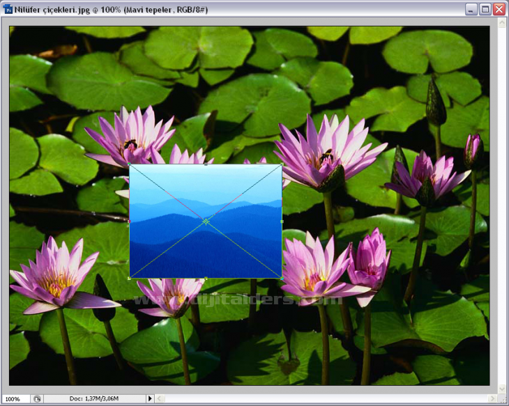 Open As Smart Object, Revert, Place