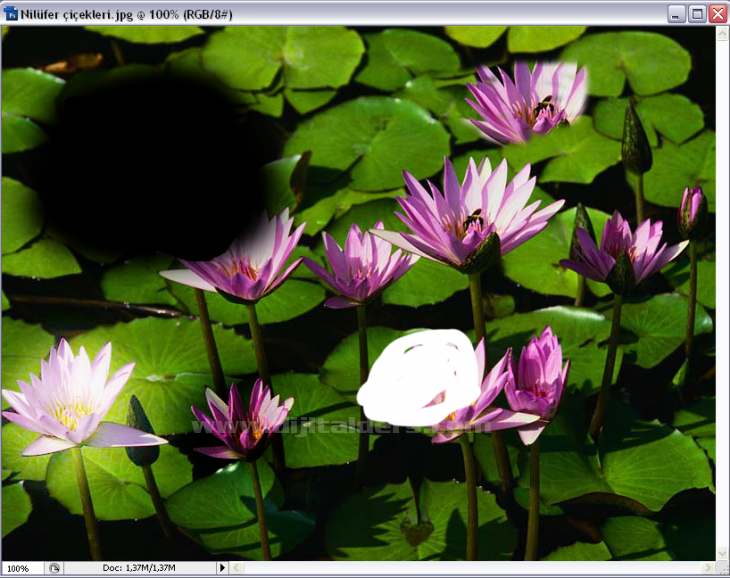 Open As Smart Object, Revert, Place