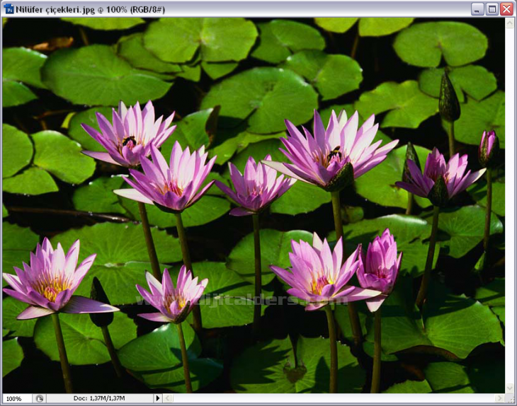 Open As Smart Object, Revert, Place