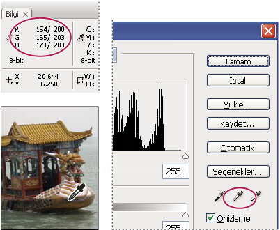 Histogram