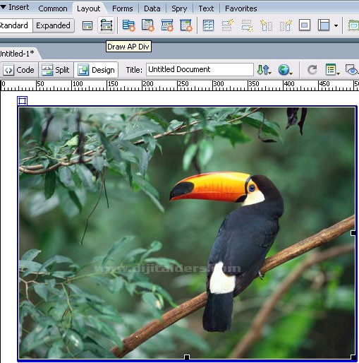 Set nav bar ımage, set text, showhide elements, swap ımage, swap ımage restore