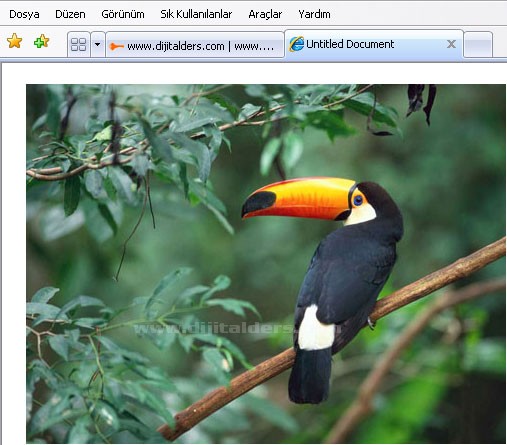 Set nav bar ımage, set text, showhide elements, swap ımage, swap ımage restore