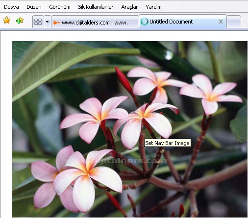 Set nav bar ımage, set text, showhide elements, swap ımage, swap ımage restore
