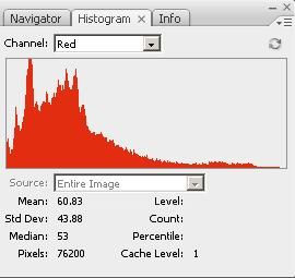 Histogram, Info, Layer Comps