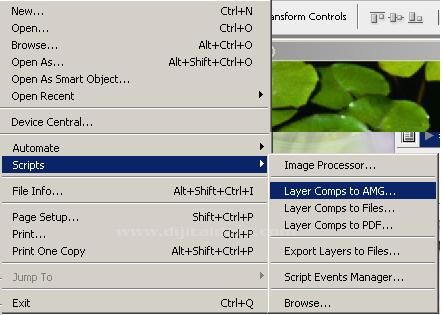 Histogram, Info, Layer Comps