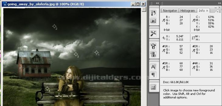 Histogram, Info, Layer Comps