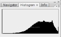 Histogram, Info, Layer Comps