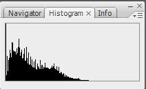 Histogram, Info, Layer Comps