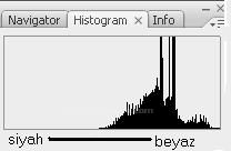 Histogram, Info, Layer Comps