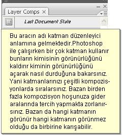 Histogram, Info, Layer Comps
