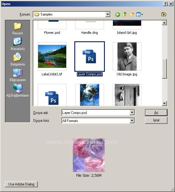 Histogram Info Layer Comps