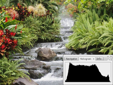 Histogram, Info, Layer Comps