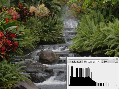 Histogram, Info, Layer Comps