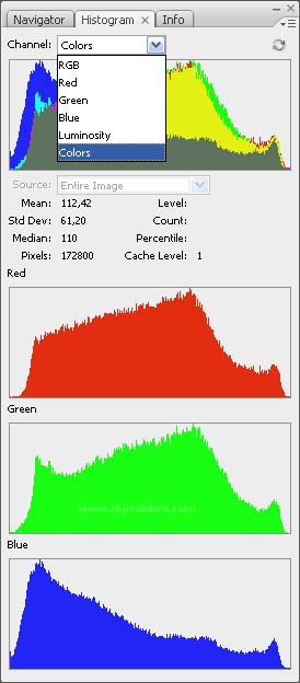 Histogram, Info, Layer Comps