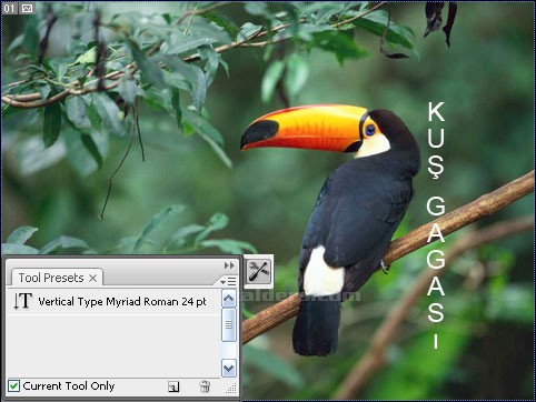 Navigator, Path, Tool Presets
