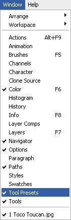 Navigator, Path, Tool Presets