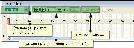 Time Line