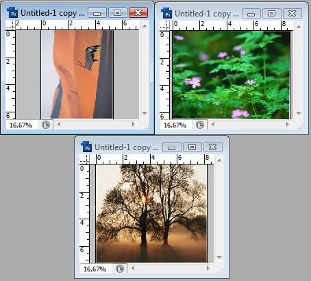 Automate Menüsünden Crop And Straighten Photos