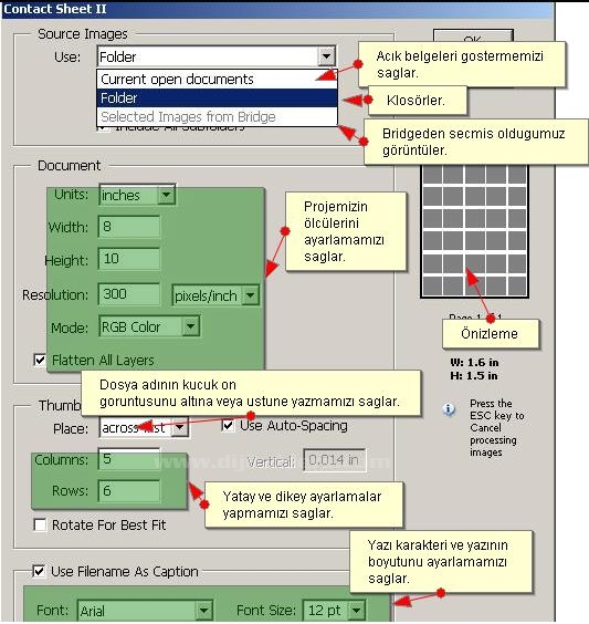 Automate Menüsünden Contact Sheet