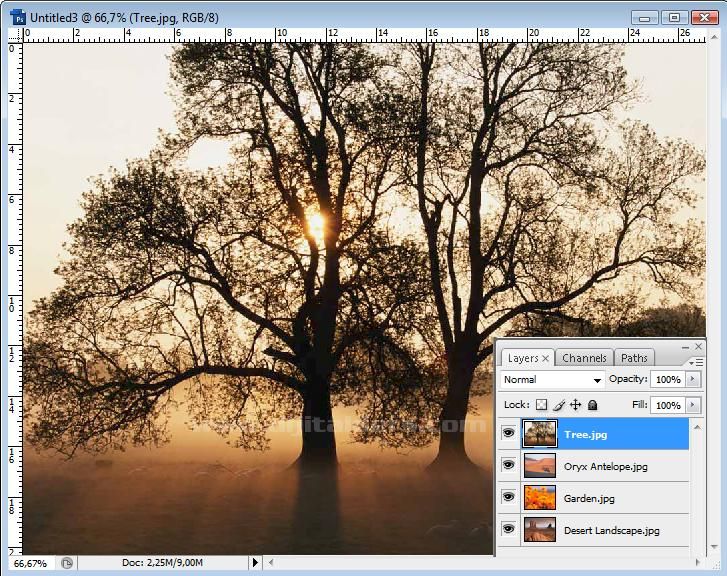 Script Load Files Into Stack
