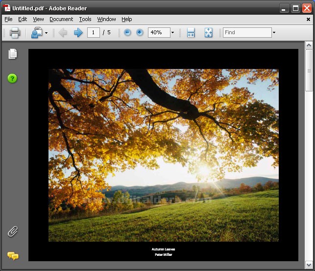 Automate menüsünden PDF Presentation