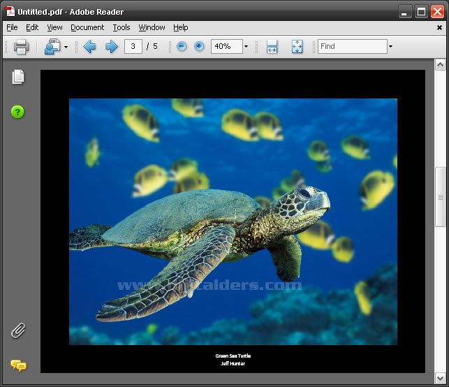 Automate menüsünden PDF Presentation