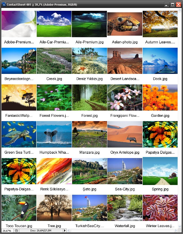 Automate menüsünden Contact Sheet