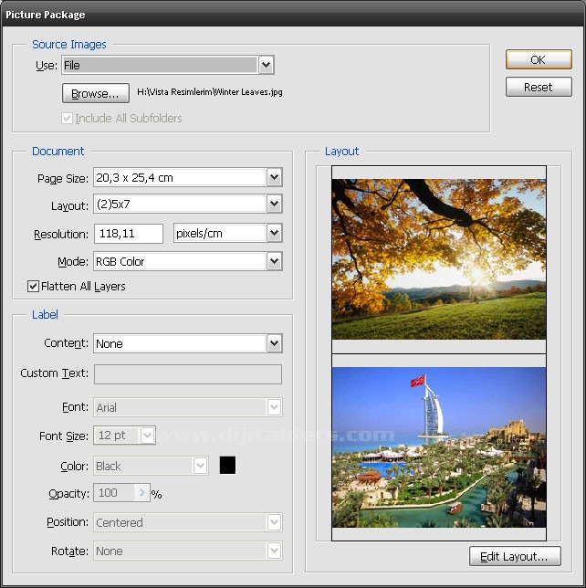 Automate menüsünden Picture Package