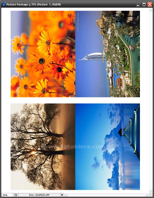 Automate Menüsünden Picture Package