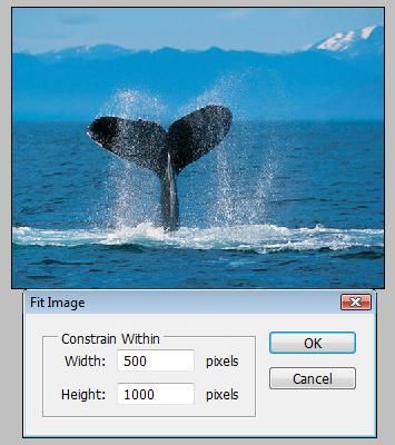 Automate Menüsündenconditional Mode Change, Fit Image