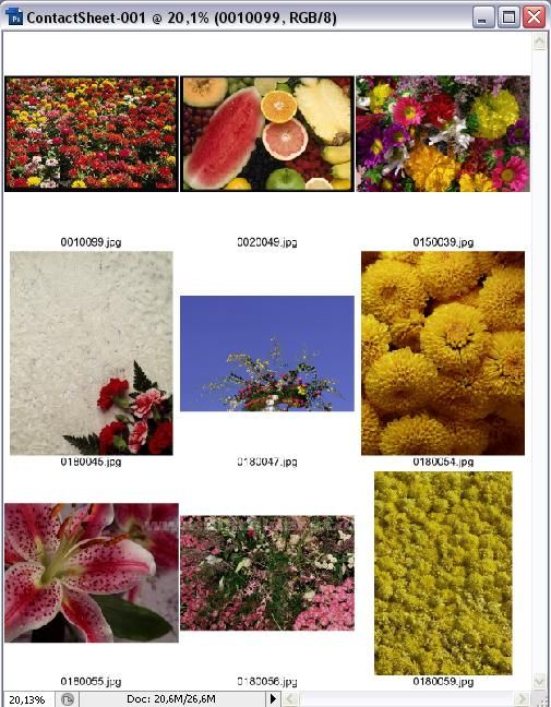 Ödev38automate Menüsünden Contact Sheet