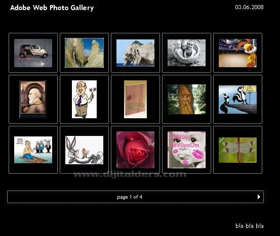 Automate menüsünden Web Photo Galery