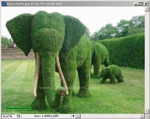 Automate menüsündenConditional Mode Change, Fit Image
