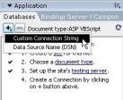 Database Paneli
