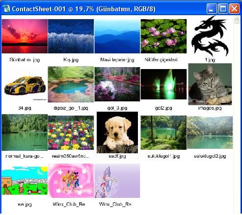 Automate Menüsünden Contact Sheet