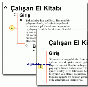 Anahat Görünümü Ve Numaralandırılması